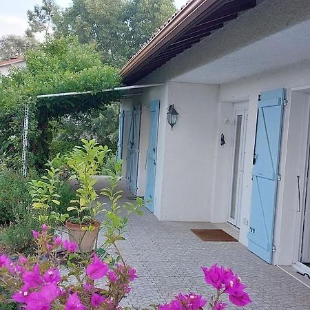 Villa De Charme Avec Piscine Saint-Jory Екстер'єр фото